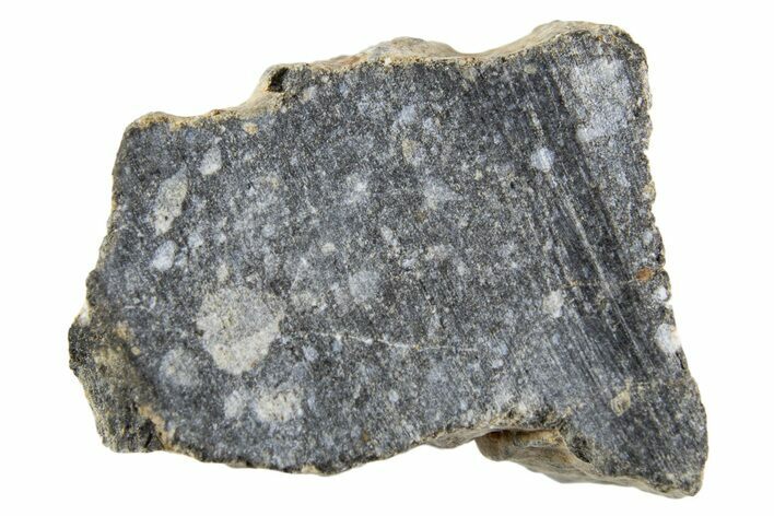Polished Lunar Meteorite ( g) End Cut Slice - NWA #333168